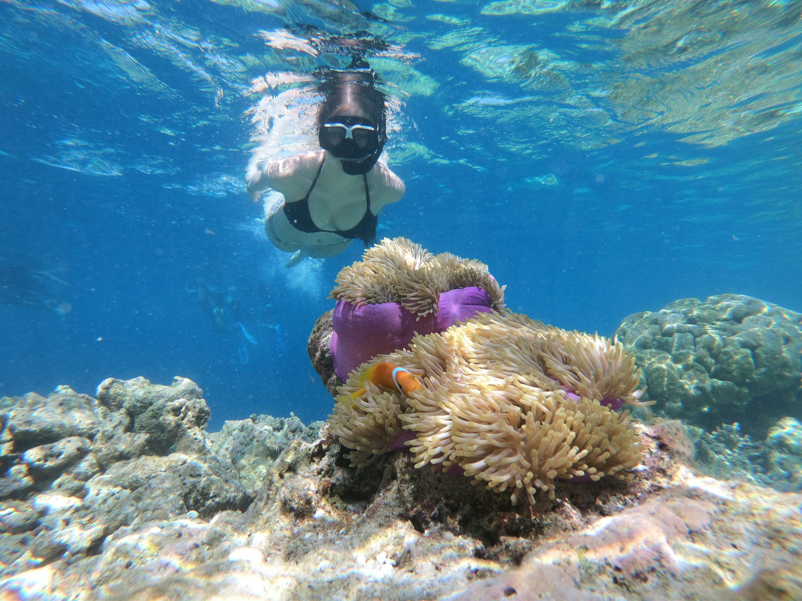 discover the beauty of the underwater world with snorkeling - an adventure for all ages and swimming abilities. explore vibrant marine life and stunning coral reefs in some of the most exotic locations on the planet.